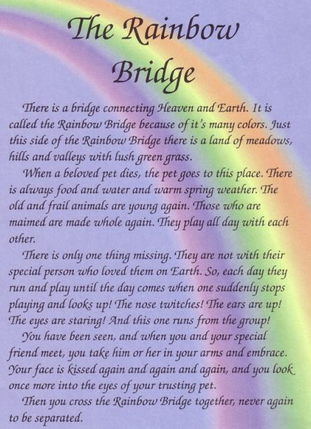 Rainbow Bridge Poem